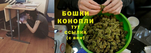 прущие грибы Беломорск