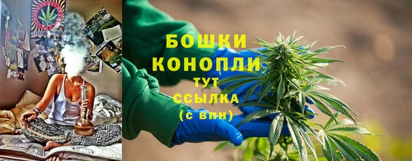 прущие грибы Беломорск
