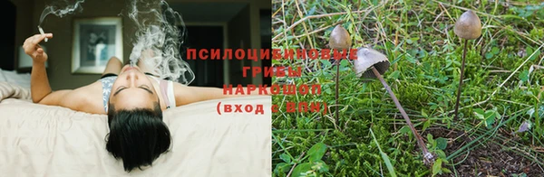 каннабис Белоозёрский